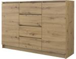 Zobrazit detail zboží: Komoda Topa 2D4S 120 dub artisan ()