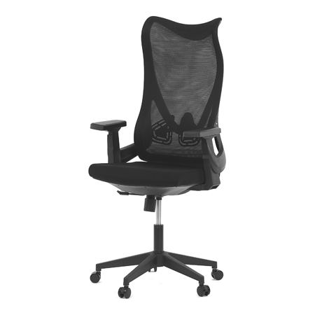 Zobrazit detail zboží: Kancelářská židle, houpací mechanismus, černá síťovina, KA-S248 BK (Síťované kancelářské židle)