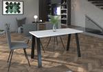 Zobrazit detail zboží: Jídelní stůl Kobalt 90x138 bílý ()